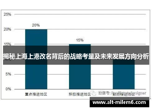揭秘上海上港改名背后的战略考量及未来发展方向分析