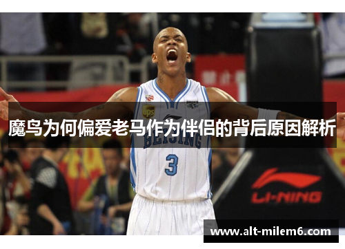 魔鸟为何偏爱老马作为伴侣的背后原因解析