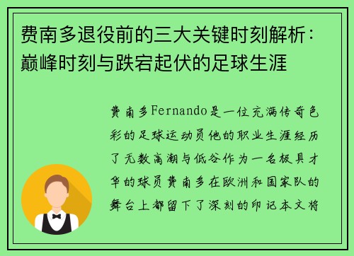 费南多退役前的三大关键时刻解析：巅峰时刻与跌宕起伏的足球生涯