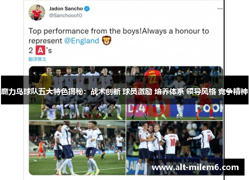 魔力鸟球队五大特色揭秘：战术创新 球员激励 培养体系 领导风格 竞争精神